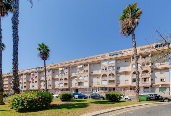 Rynek wtórny - Apartament - Torrevieja - Parque de las Naciones