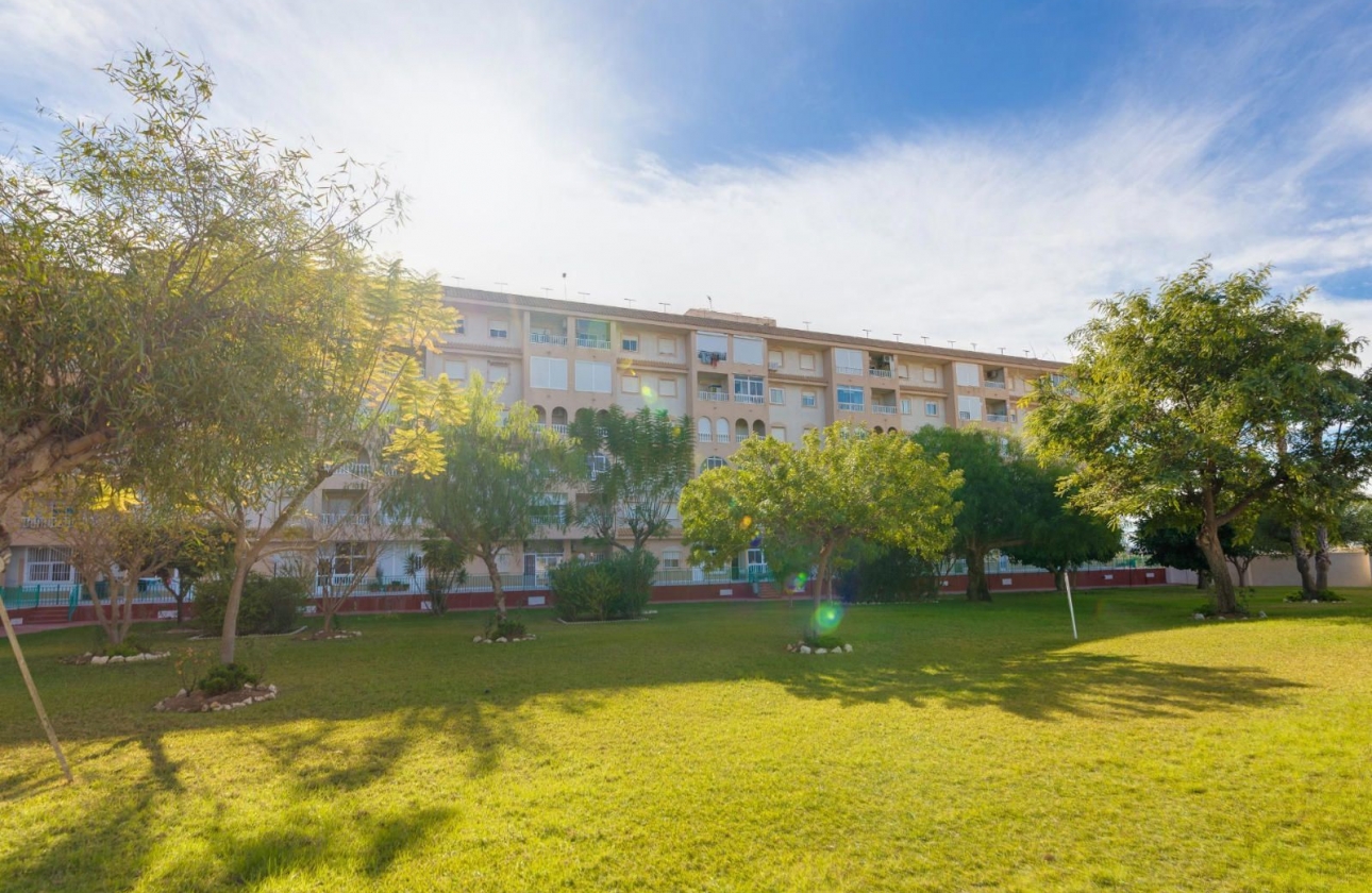 Rynek wtórny - Apartament - Torrevieja - Parque de las Naciones