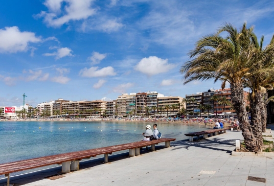 Rynek wtórny - Apartament - Torrevieja - Parque de las Naciones