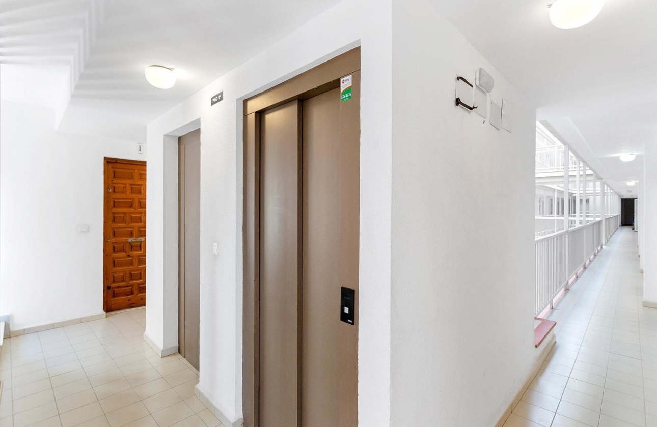 Rynek wtórny - Apartament - Torrevieja - La Mata