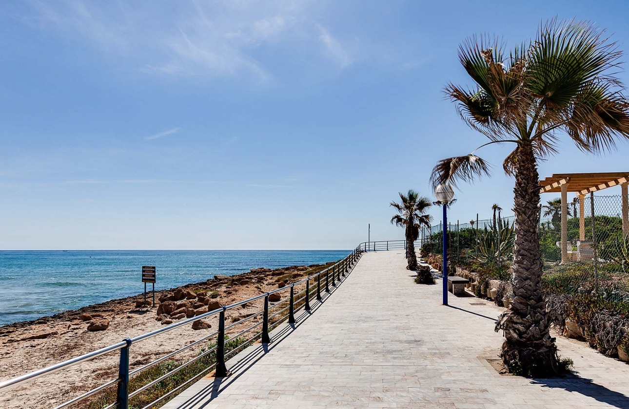 Rynek pierwotny - Detached - Orihuela Costa