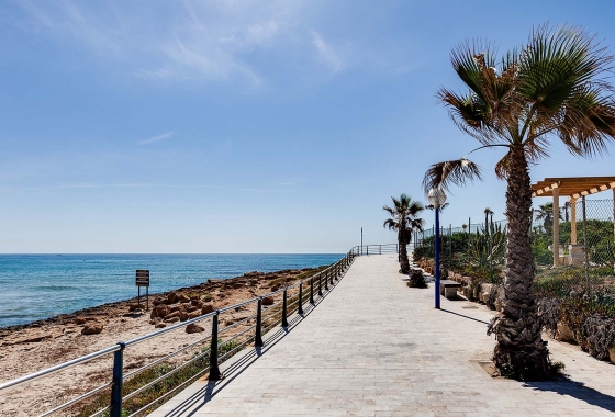Rynek pierwotny - Detached - Orihuela Costa