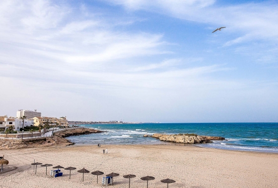 Rynek pierwotny - Detached - Orihuela Costa