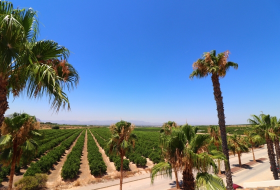 Reventa - Pareado - Algorfa - La Finca Golf Resort