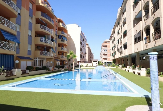 Rynek wtórny - Apartament - Torrevieja - Centro