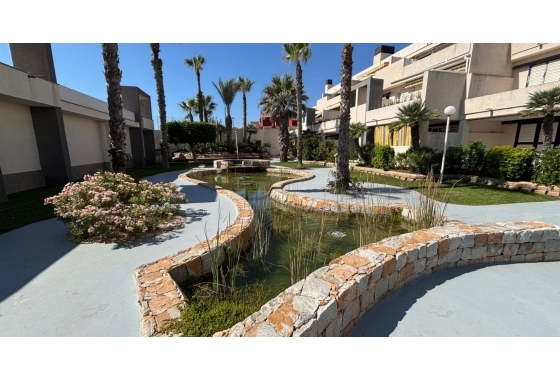 Resale - Apartment - Torrevieja - La Mata