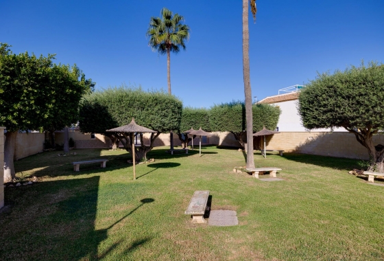 Rynek wtórny - Bungalow - Torrevieja - Carrefour