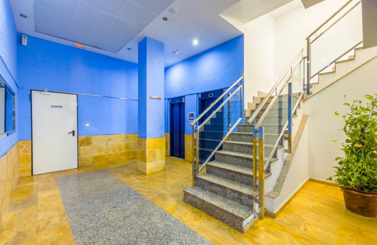 Reventa - Apartment - Torrevieja - Playa de los Locos