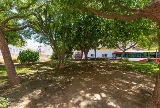 Reventa - Apartment - Torrevieja - La Mata