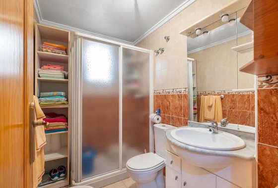 Reventa - Apartment - Torrevieja - Estacion de autobuses