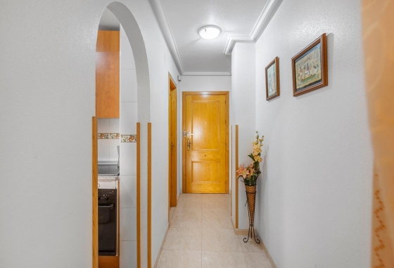 Reventa - Apartment - Torrevieja - Estacion de autobuses