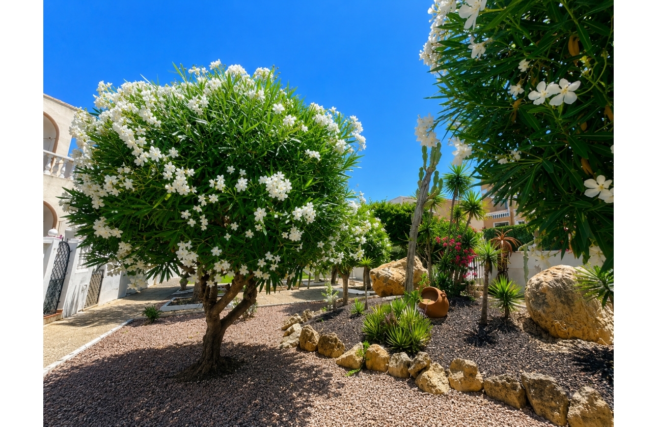 Rynek wtórny - Bungalow - Torrevieja - La Mata