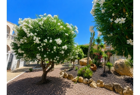 Rynek wtórny - Bungalow - Torrevieja - La Mata