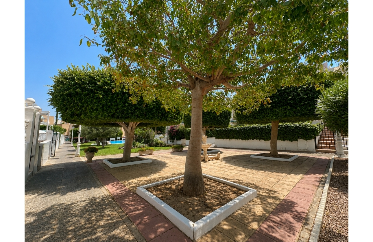 Rynek wtórny - Bungalow - Torrevieja - La Mata