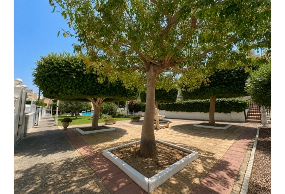 Rynek wtórny - Bungalow - Torrevieja - La Mata