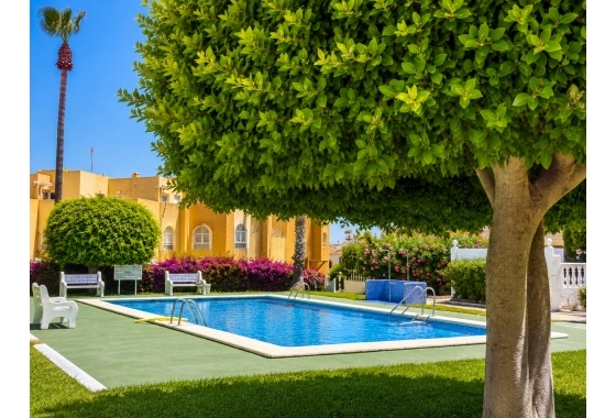 Rynek wtórny - Bungalow - Torrevieja - La Mata