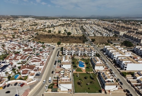 Rynek wtórny - Apartament - Orihuela Costa - Playa Flamenca