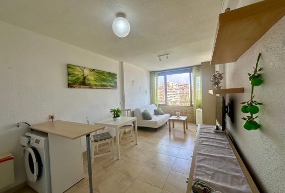 Reventa - Apartment - Torrevieja - Cabo cervera