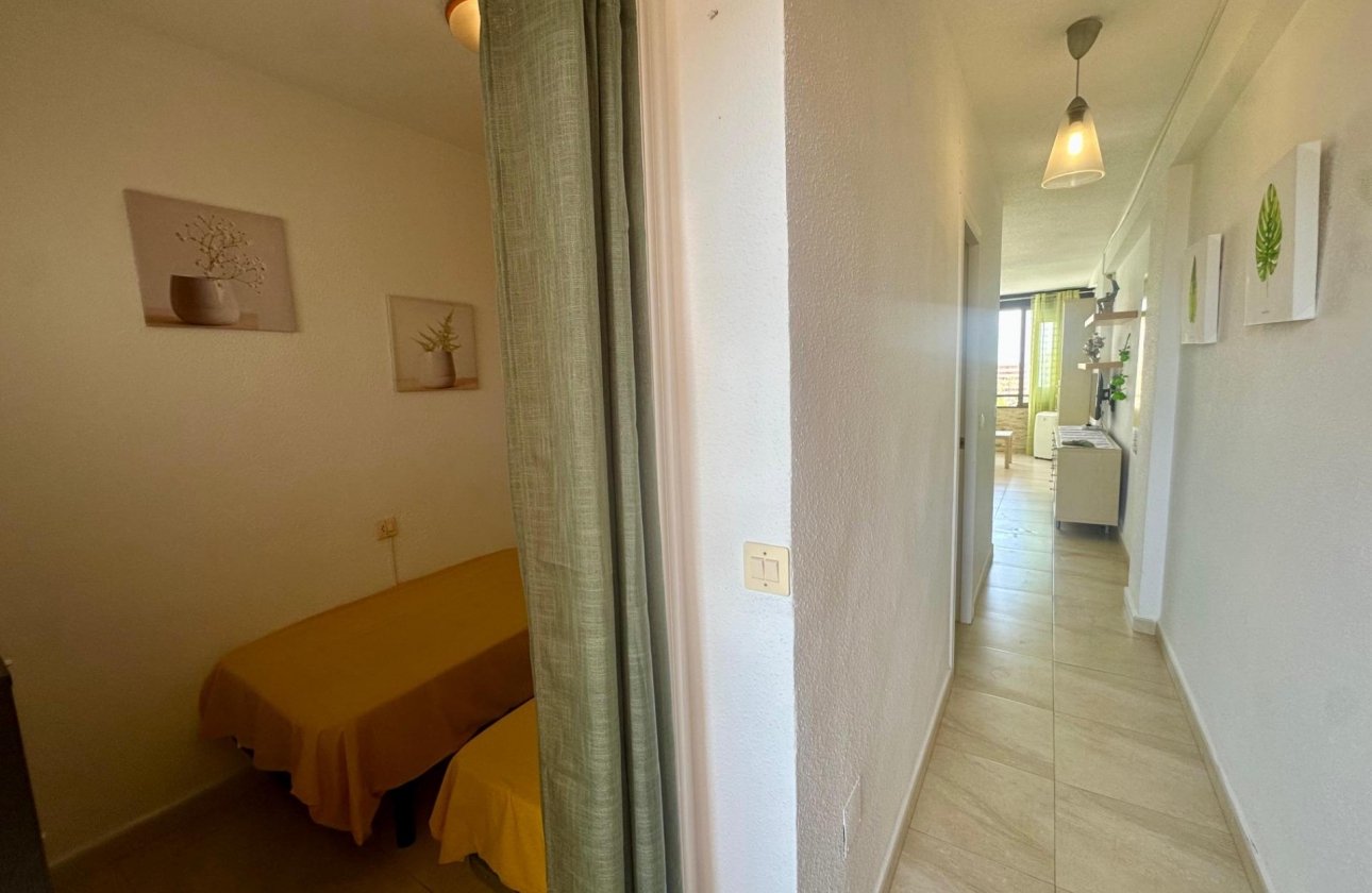 Reventa - Apartment - Torrevieja - Cabo cervera