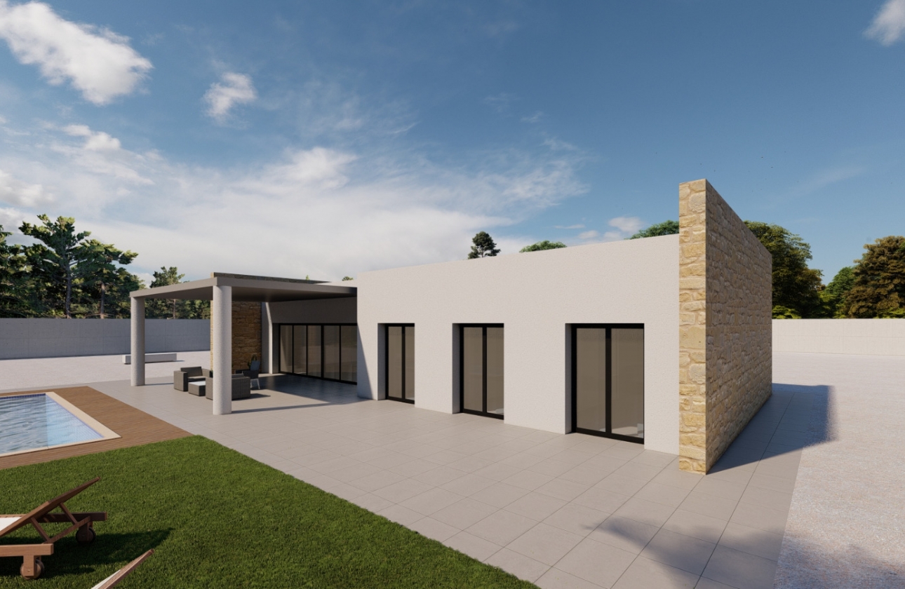 Obra nueva - Detached - El Pinós