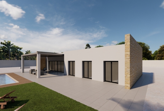 Obra nueva - Detached - El Pinós