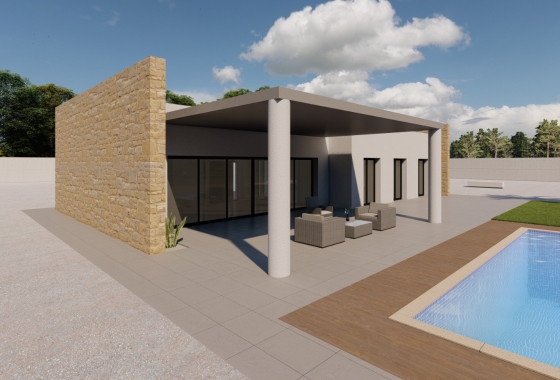 Obra nueva - Detached - El Pinós