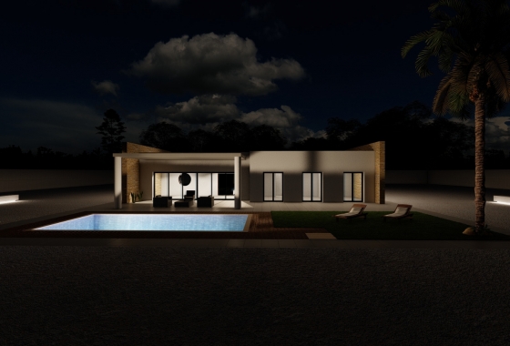 Obra nueva - Detached - El Pinós