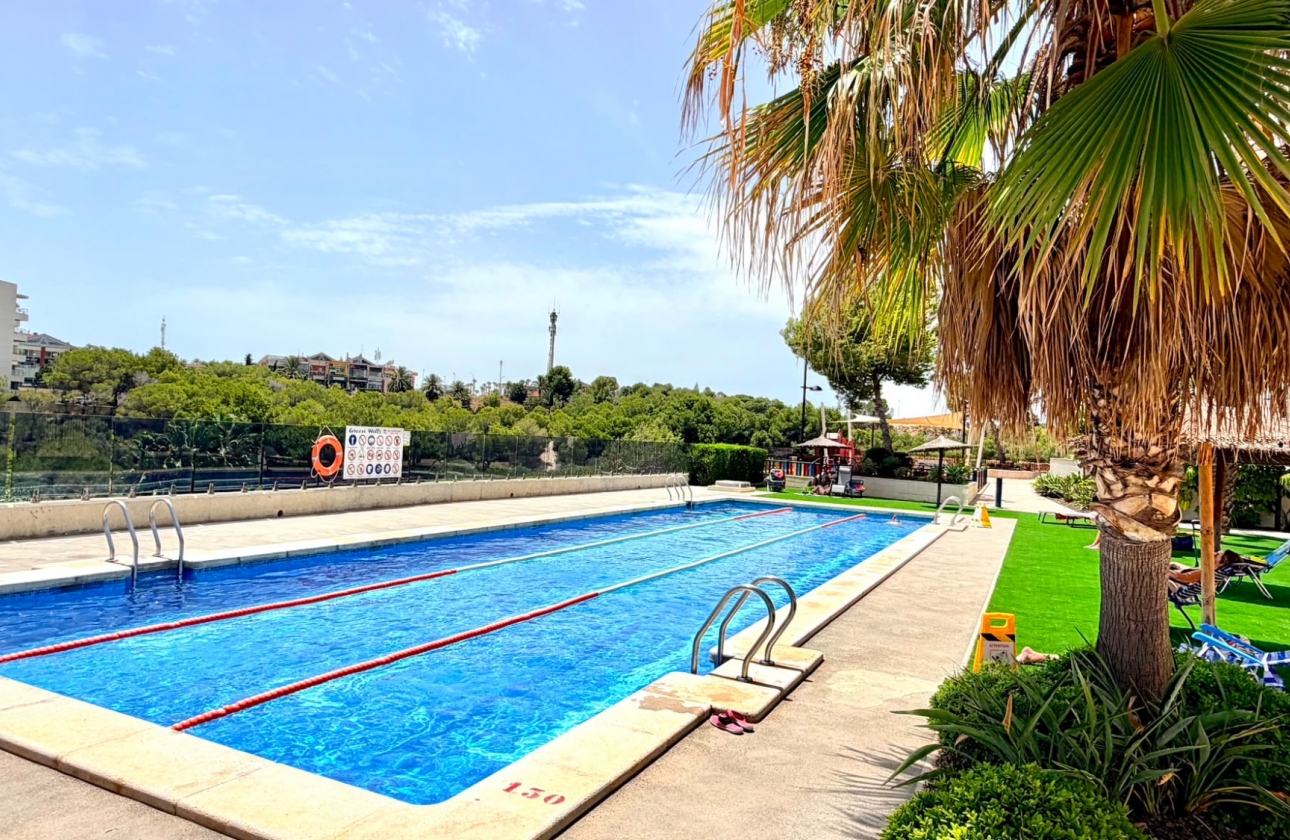 Reventa - Apartment - Orihuela Costa - La Zenia