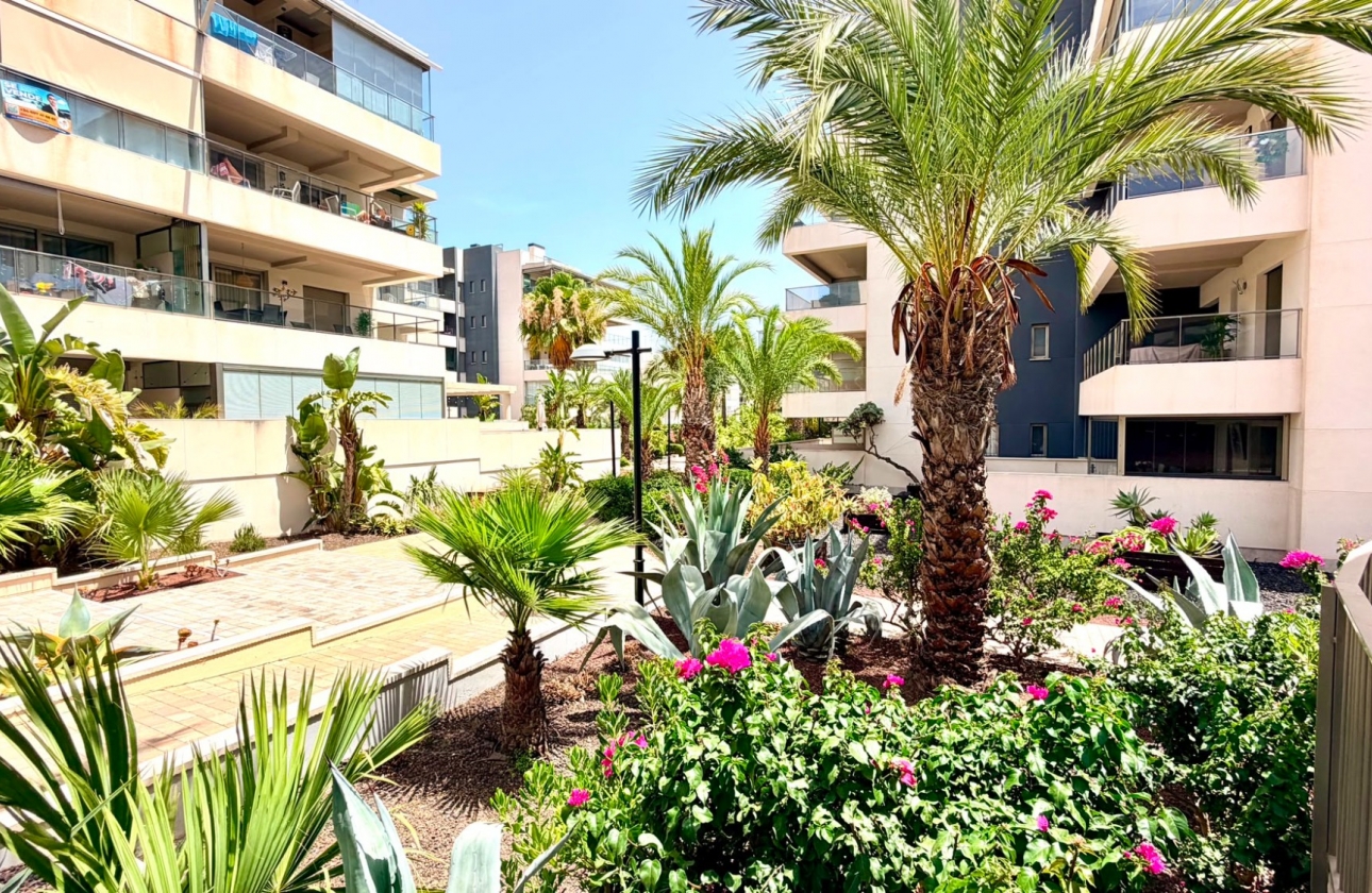 Reventa - Apartment - Orihuela Costa - La Zenia