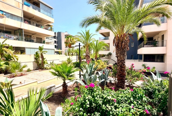 Reventa - Apartment - Orihuela Costa - La Zenia