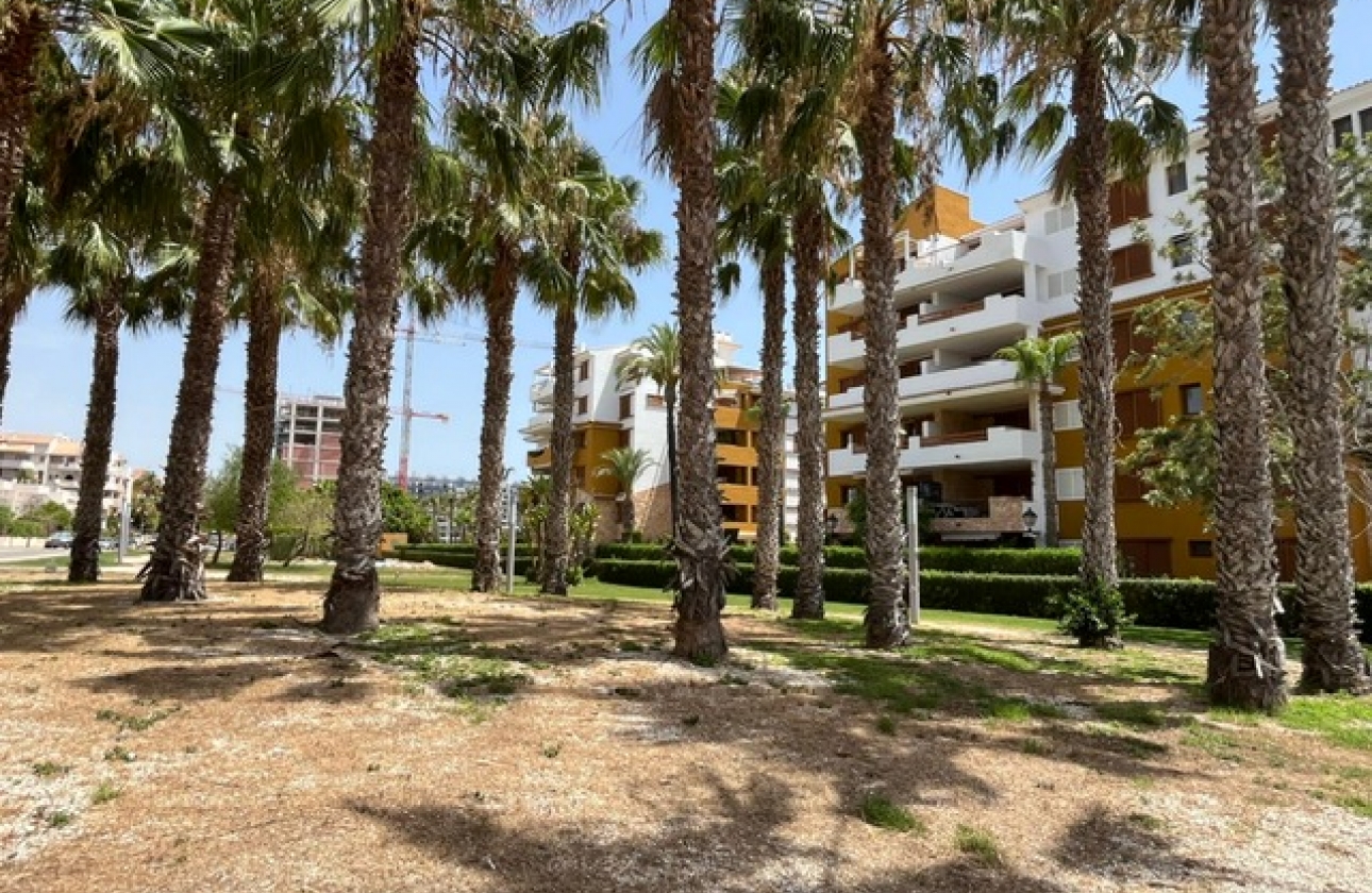 Reventa - Apartment - Torrevieja - Punta Prima