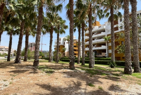 Reventa - Apartment - Torrevieja - Punta Prima