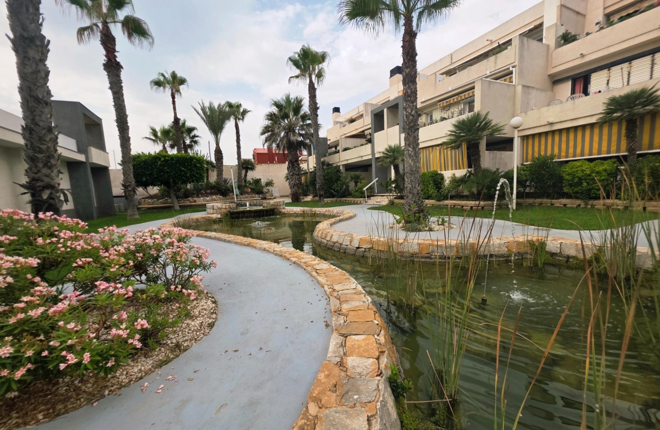 Reventa - Apartment - Torrevieja - La Mata