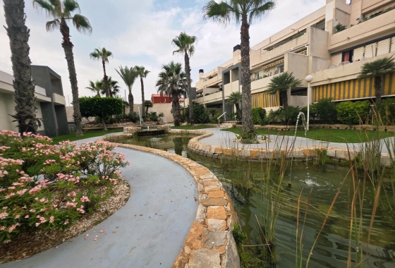 Reventa - Apartment - Torrevieja - La Mata