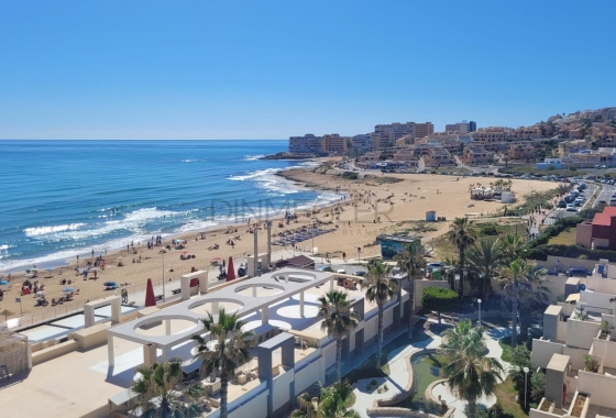 Reventa - Apartment - Torrevieja - La Mata
