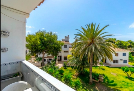 Rynek wtórny - Penthouse - Torrevieja - Calas Blanca