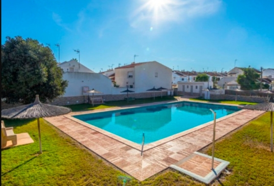 Rynek wtórny - Penthouse - Torrevieja - Calas Blanca