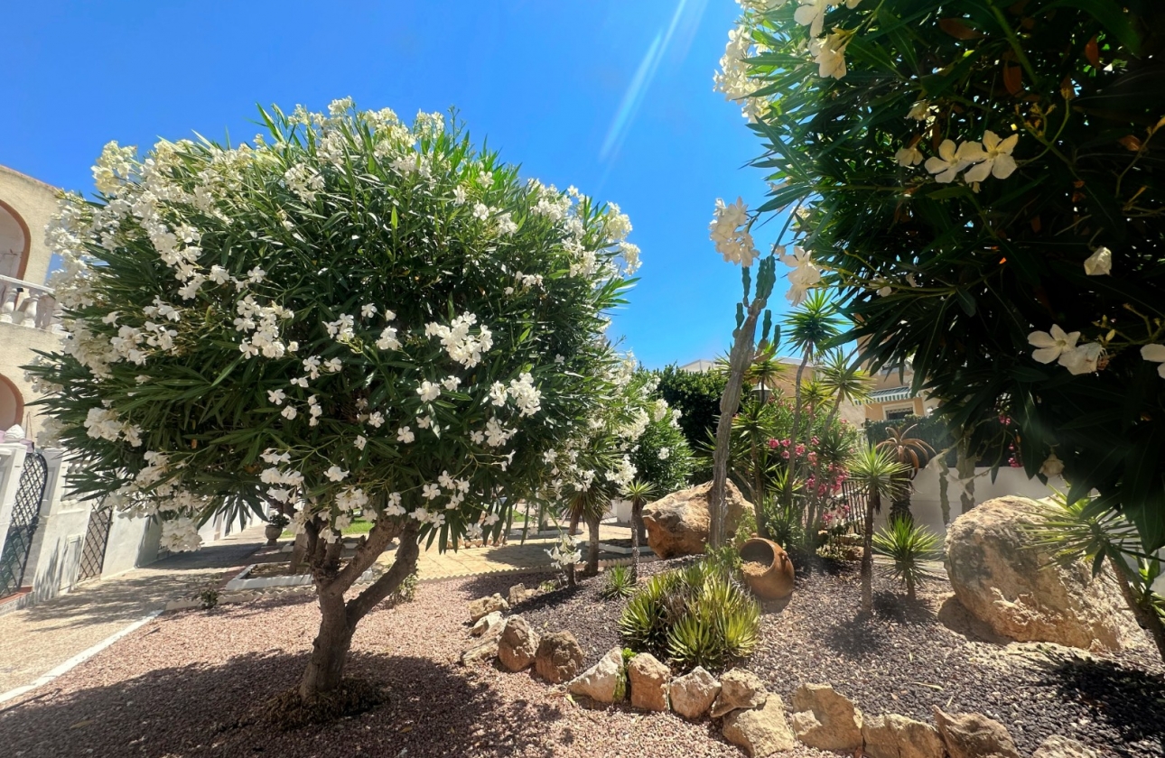 Rynek wtórny - Bungalow - Torrevieja - La Mata