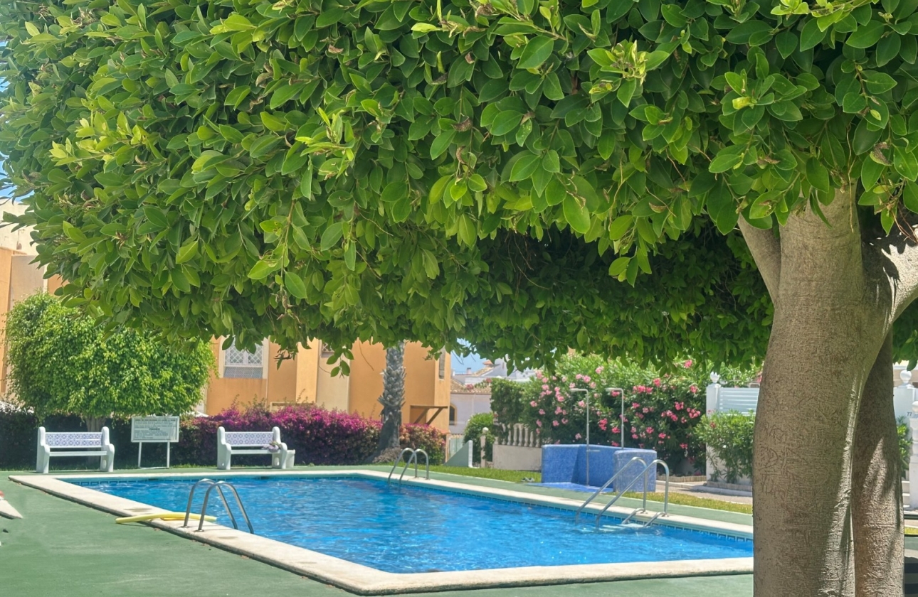 Rynek wtórny - Bungalow - Torrevieja - La Mata