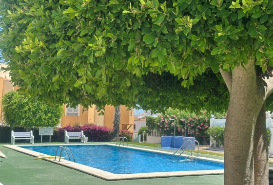 Rynek wtórny - Bungalow - Torrevieja - La Mata