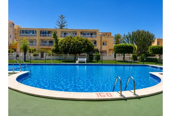 Rynek wtórny - Bungalow - Torrevieja - La Mata