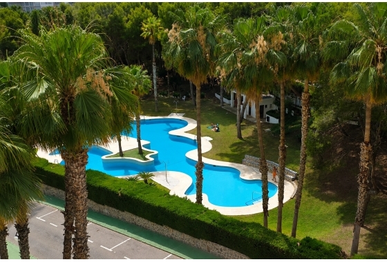 Rynek wtórny - Apartament - Orihuela Costa - Campoamor