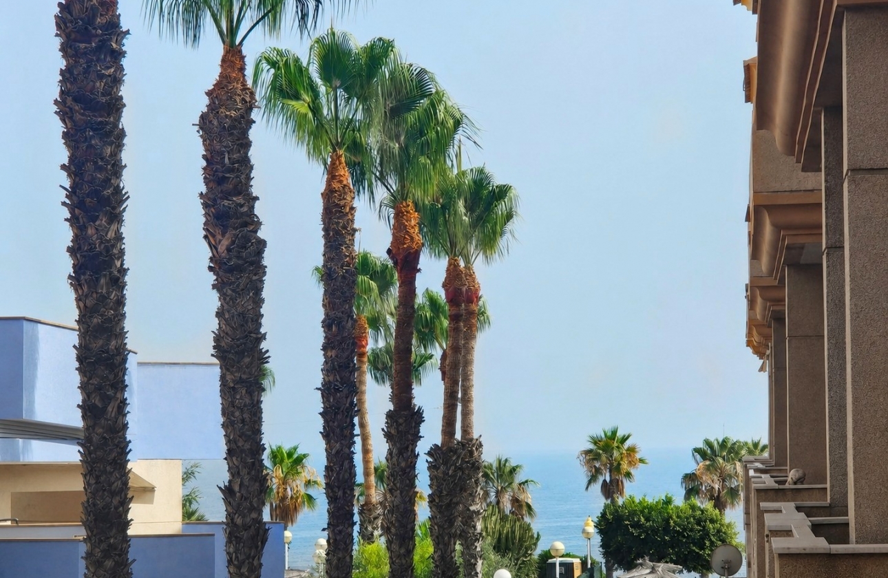 Rynek wtórny - Apartament - Orihuela Costa - Aguamarina