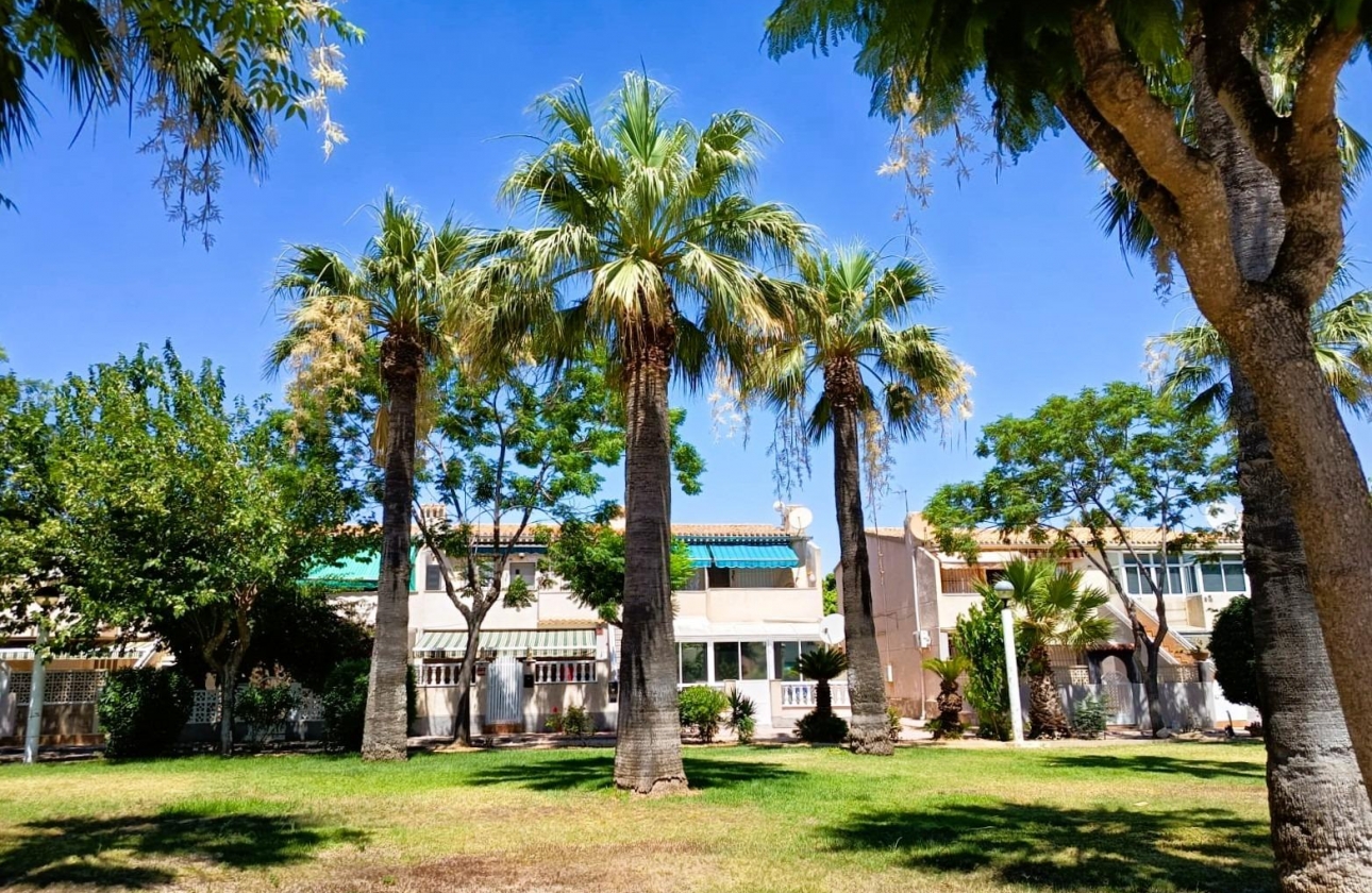 Reventa - Bungalow - Orihuela Costa - La Regia