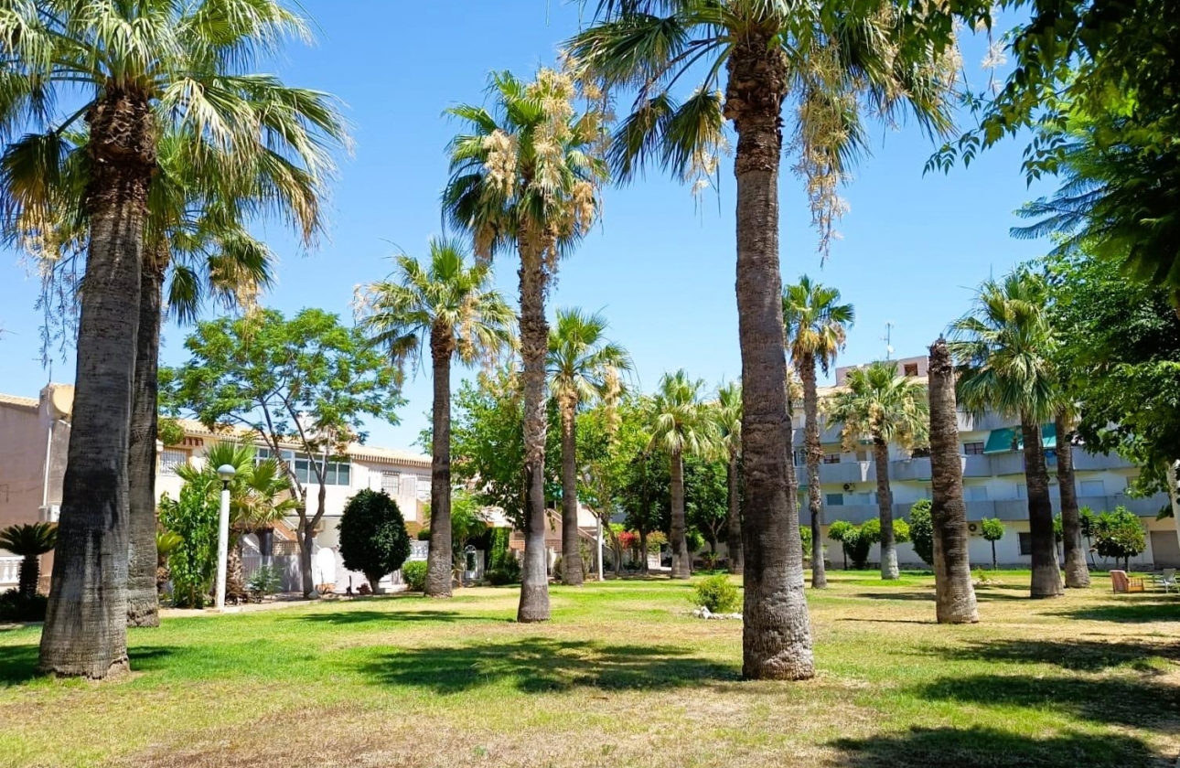 Reventa - Bungalow - Orihuela Costa - La Regia