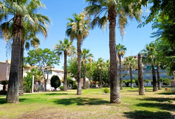 Reventa - Bungalow - Orihuela Costa - La Regia