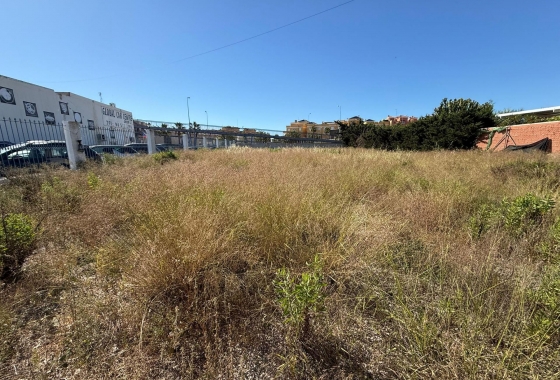 Reventa - Parcela / Terreno - Orihuela Costa - La Regia