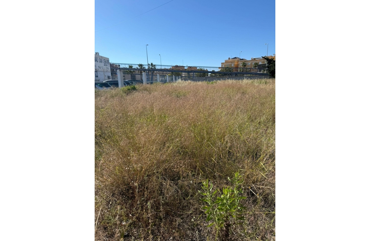 Reventa - Parcela / Terreno - Orihuela Costa - La Regia