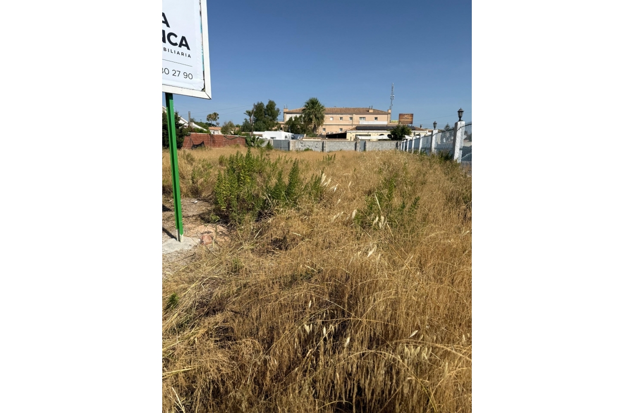 Reventa - Parcela / Terreno - Orihuela Costa - La Regia