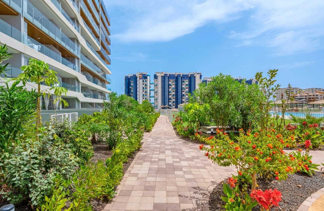 Resale - Apartment - Orihuela Costa - Punta Prima